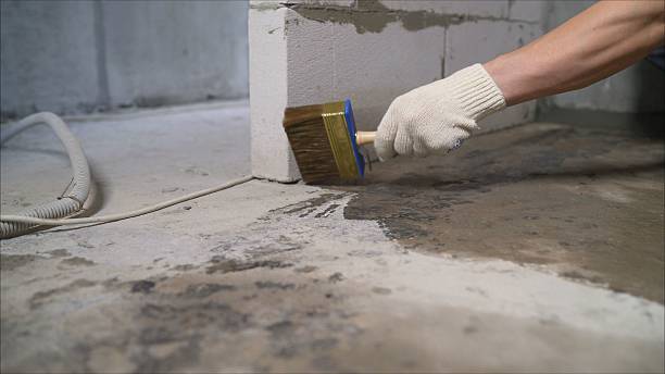 SJ Waterproofing Pros Exterior Waterproofing coverage map for Mendon, IL and surrounding area